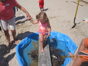 Beach 2010 082